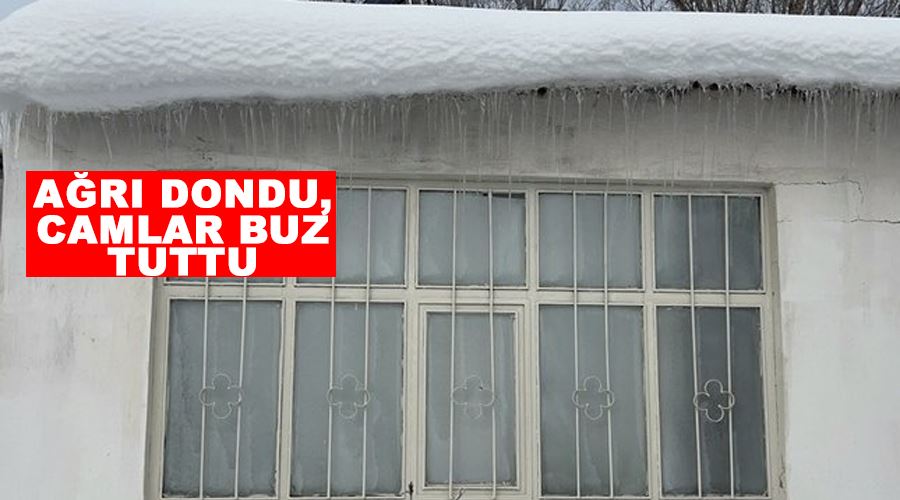 Ağrı dondu, camlar buz tuttu