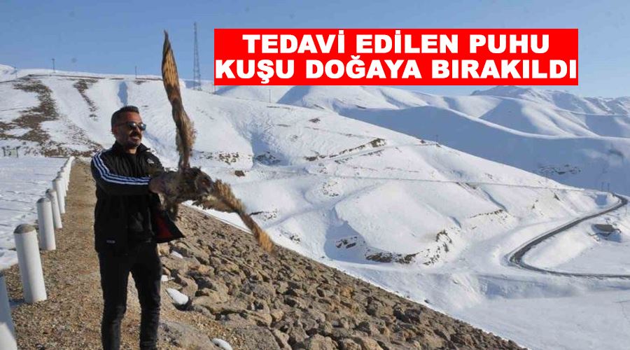 Tedavi edilen puhu kuşu doğaya bırakıldı