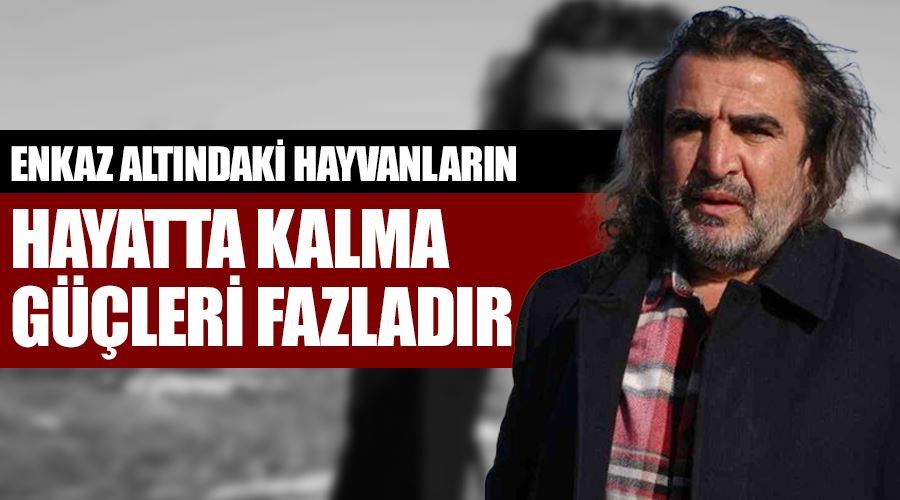 Prof. Dr. Aslan: “Enkaz altındaki hayvanların hayatta kalma güçleri fazladır”