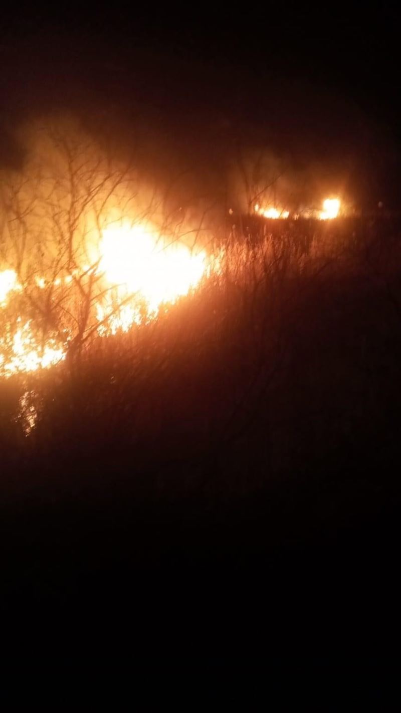 Gala Gölü Milli Parkı sazlık alanında çıkan yangın söndürüldü
