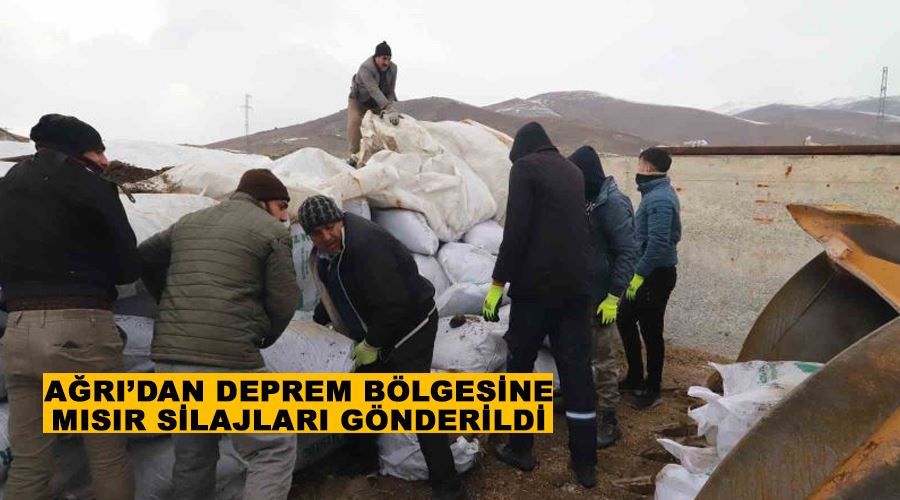 Ağrı’dan deprem bölgesine mısır silajları gönderildi