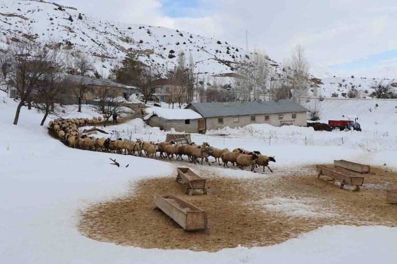 Besicilerin kış mesaisi sürüyor
