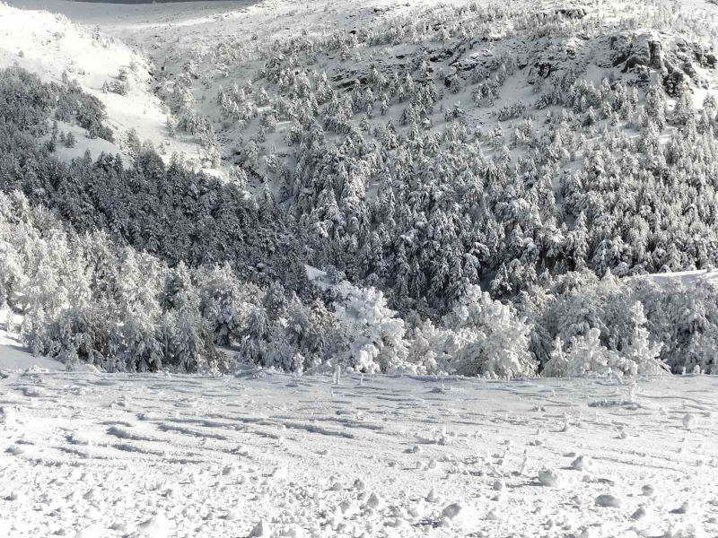 Kazdağları Milli Parkı kar yağışı nedeniyle geçici olarak ziyarete kapatıldı
