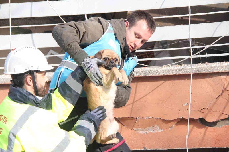 6 katlı bina enkazından sağ çıktı, depremzede kadın sahiplendi
