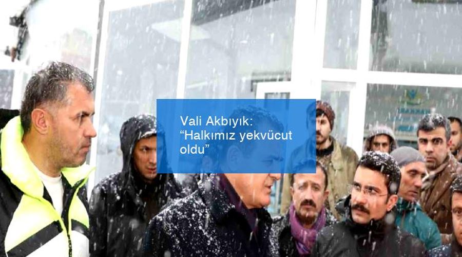 Vali Akbıyık: “Halkımız yekvücut oldu”