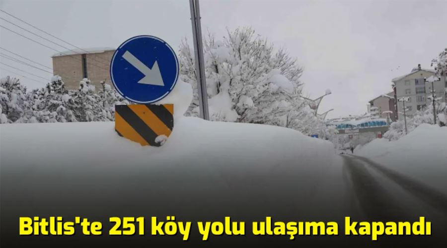 Bitlis’te 251 köy yolu ulaşıma kapandı