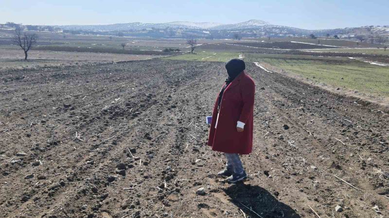 Arpa ve buğdayın ürün verimliğinin analizi yapıldı
