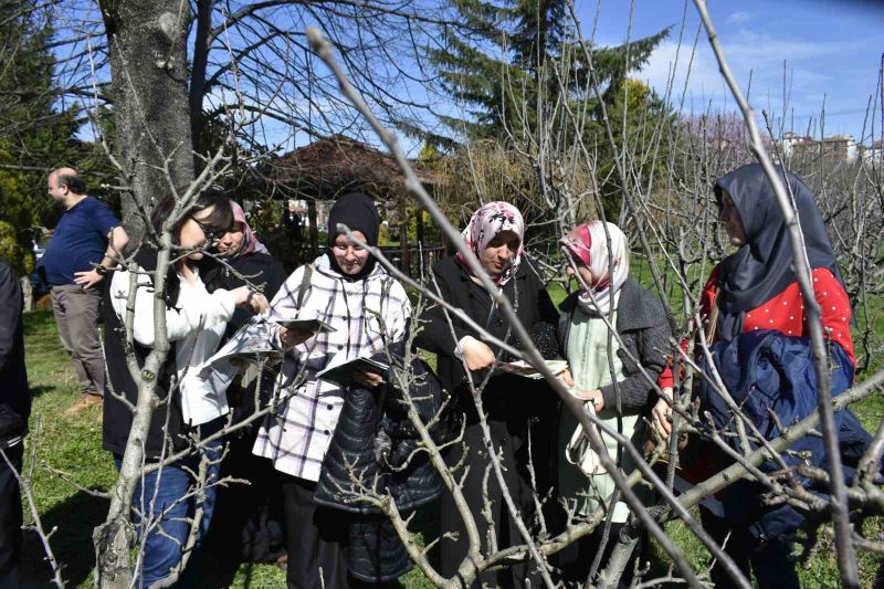 Bartın’da çiftçilere budama eğitimi, doğru verim alma yöntemleri anlatıldı
