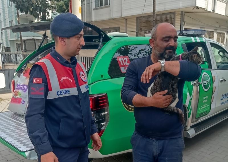 Binada mahsur kalan kediyi jandarma kurtardı
