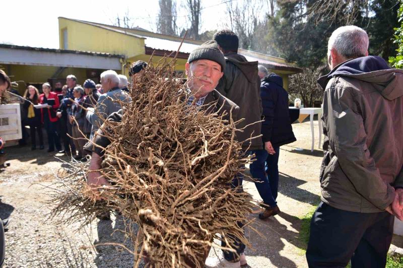 Balıkesir Büyükşehir’den çiftçiye hünnap ve mürdüm eriği desteği
