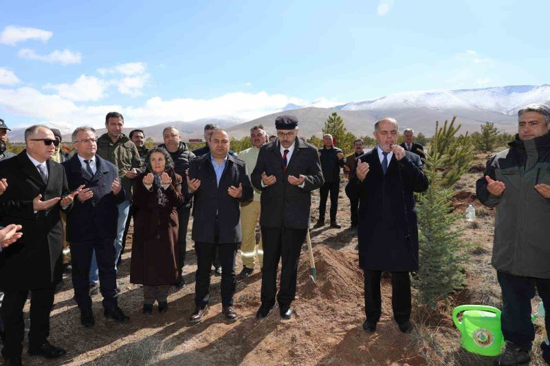 Depremzedeler için orman oluşturuldu
