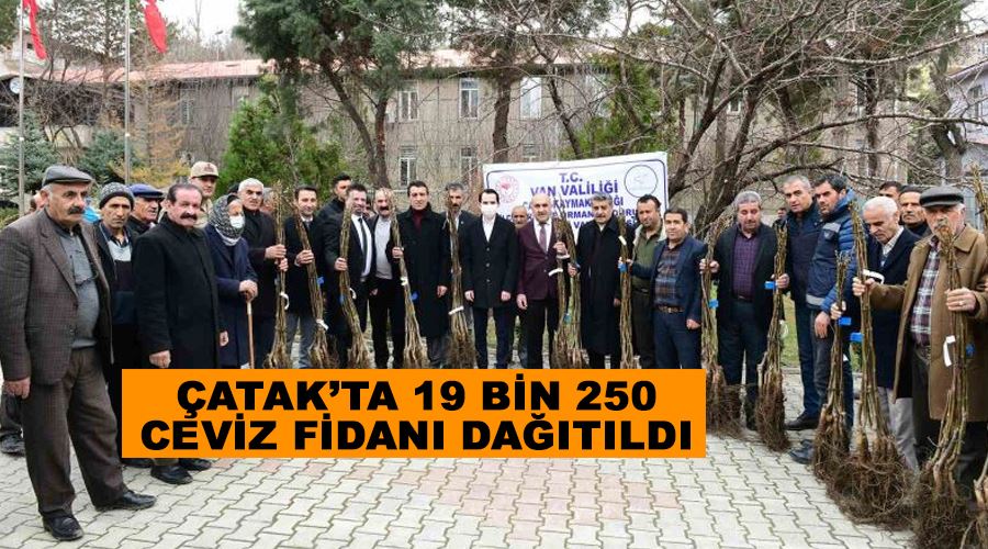 Çatak’ta 19 bin 250 ceviz fidanı dağıtıldı