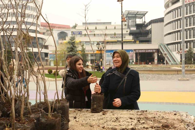 Bolu’da 4 bin adet fidan ücretsiz dağıtıldı
