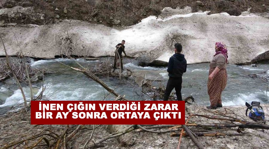 İnen çığın verdiği zarar bir ay sonra ortaya çıktı