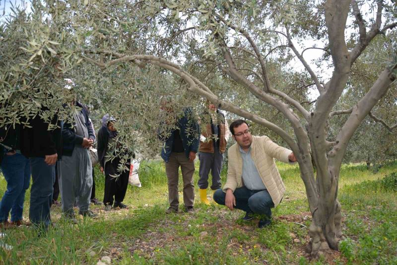 Mersin’de doğru tarımsal üretim için teorik ve uygulamalı eğitim
