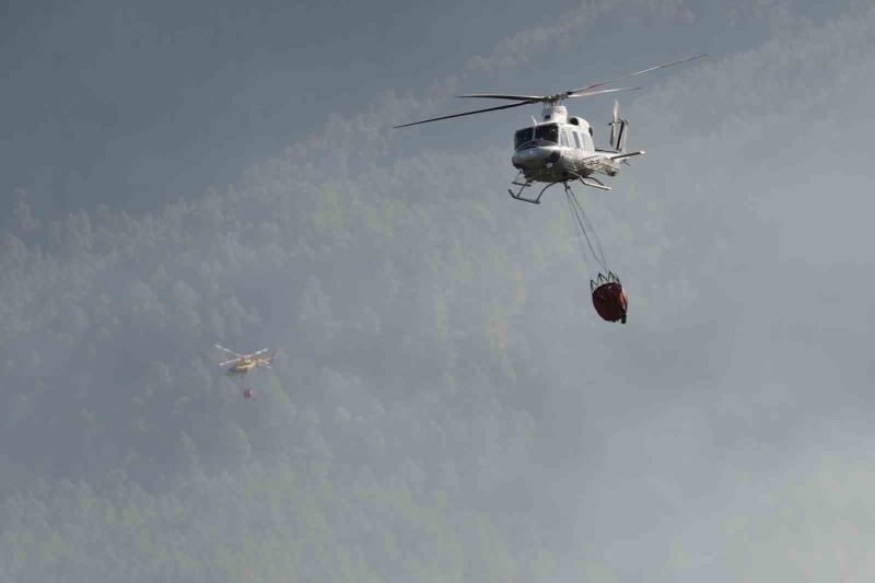 İspanya’daki orman yangınında 4 bin hektardan fazla alan kül oldu
