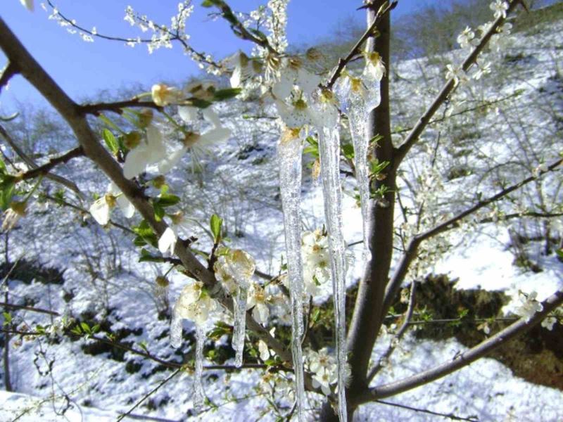 Meteorolojiden zirai don uyarısı
