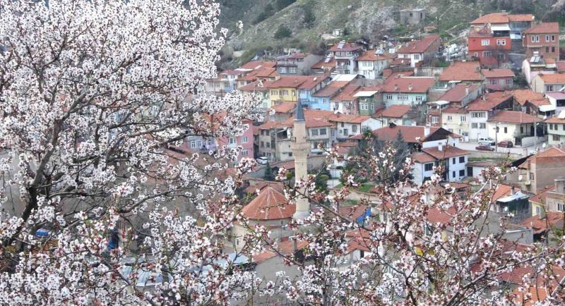 Kütahya’da badem ağaçlarının çiçek açması güzel görüntüler oluşturdu
