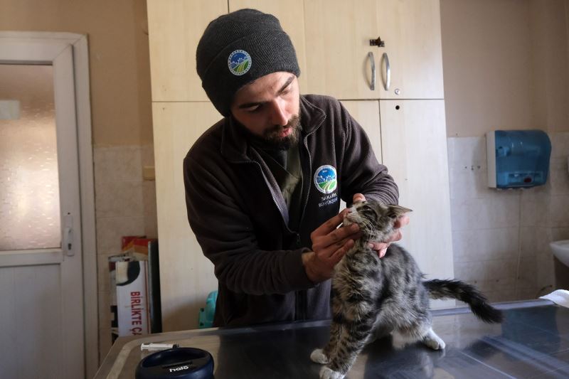 Sakaryalı veteriner ekipleri Antakya’da can dostlarının yaralarını sarıyor
