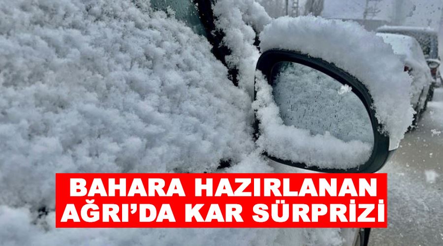 Bahara hazırlanan Ağrı’da kar sürprizi