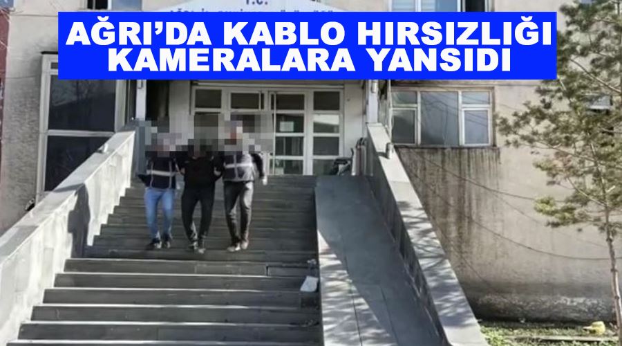 Ağrı’da kablo hırsızlığı kameralara yansıdı