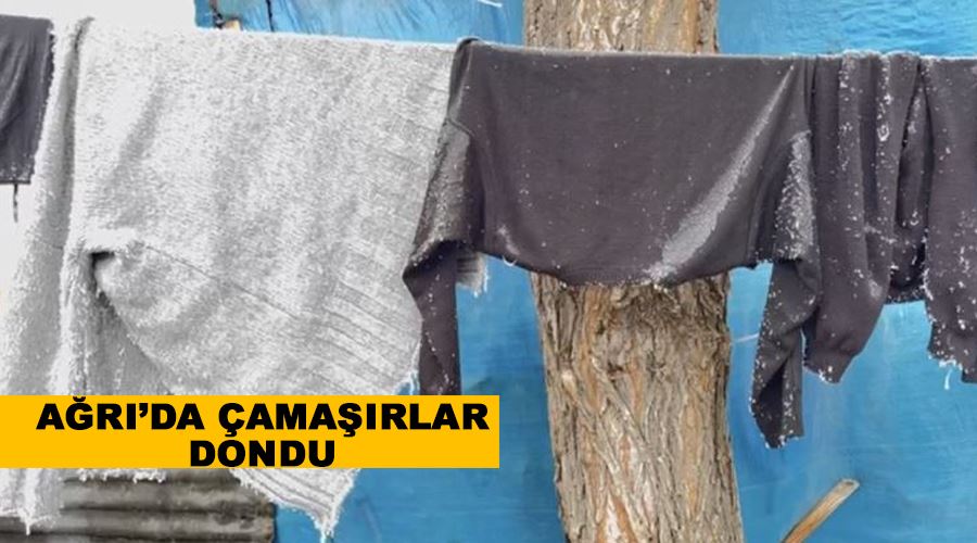 Ağrı’da çamaşırlar dondu