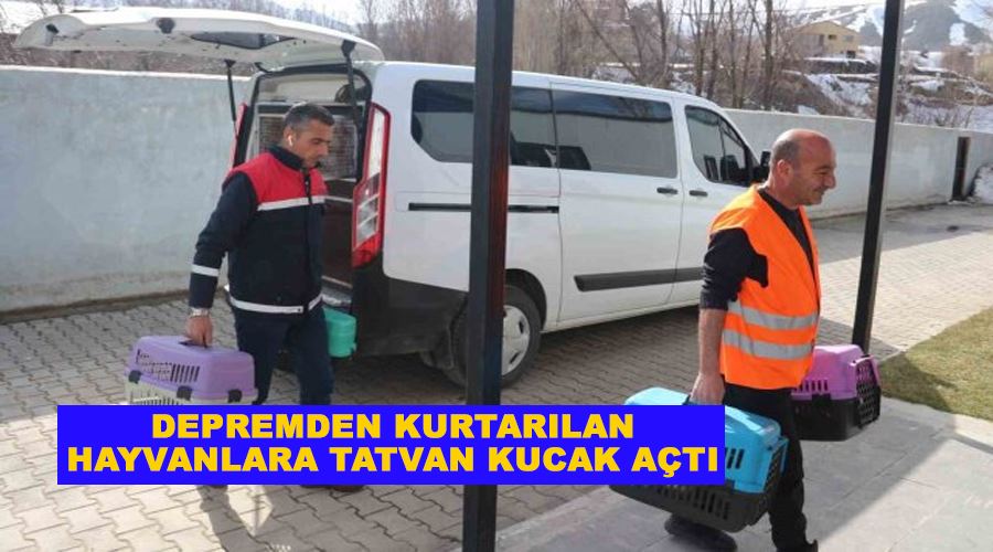 Depremden kurtarılan hayvanlara Tatvan kucak açtı