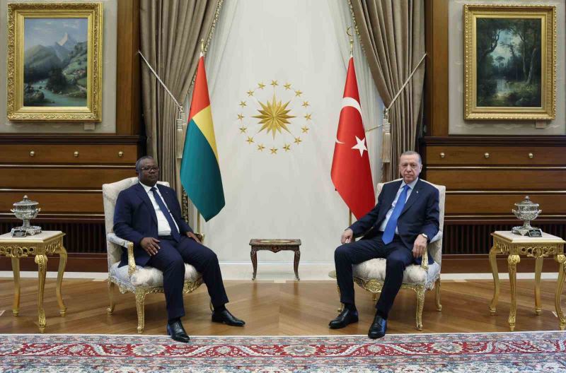 Cumhurbaşkanı Erdoğan, Gine Bissau Cumhurbaşkanı Embalo ile görüştü
