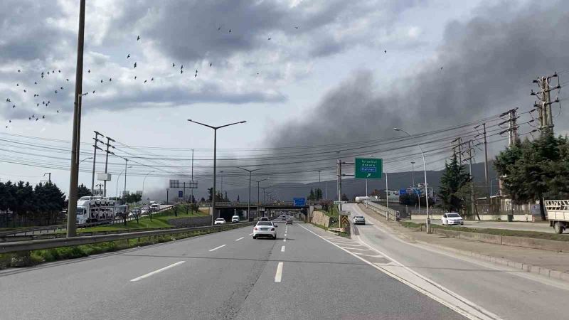 Kocaeli’de fabrikada çıkan yangın korkuttu
