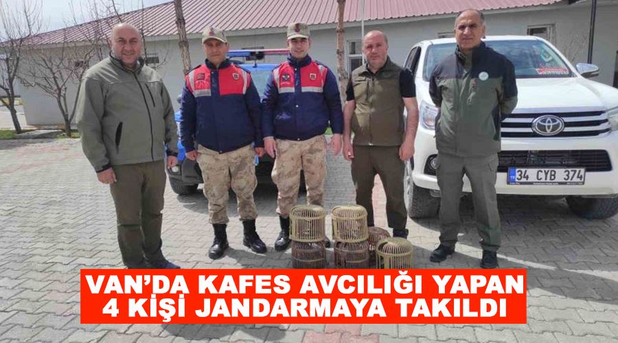 Van’da kafes avcılığı yapan 4 kişi jandarmaya takıldı