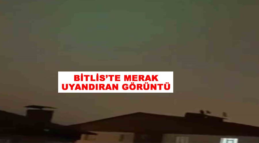 Bitlis’te merak uyandıran görüntü
