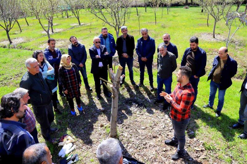 Bingöl’de ağaç budama ve aşılama eğitimi başladı
