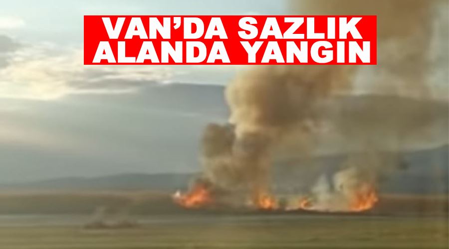 Van’da sazlık alanda yangın