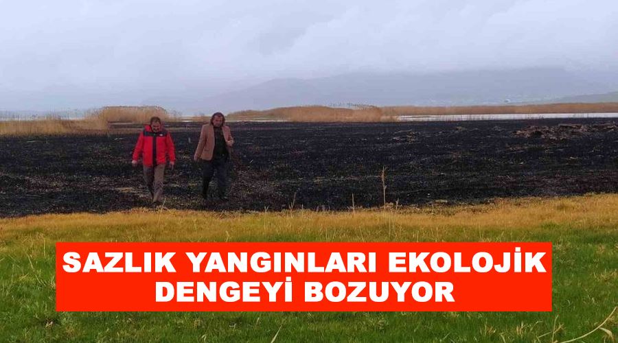 Sazlık yangınları ekolojik dengeyi bozuyor