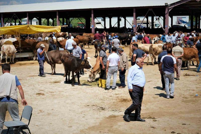 Hayvan hareketleri kısıtlaması 28 Nisan’da son buluyor
