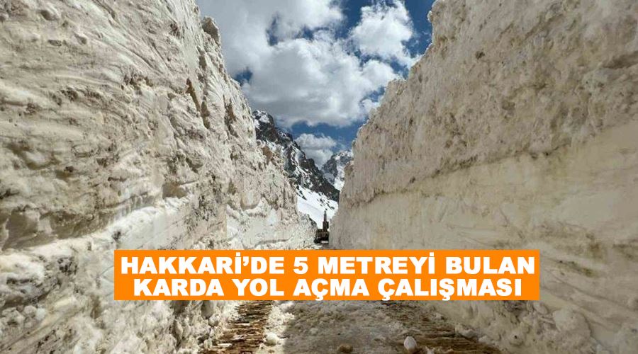 Hakkari’de 5 metreyi bulan karda yol açma çalışması