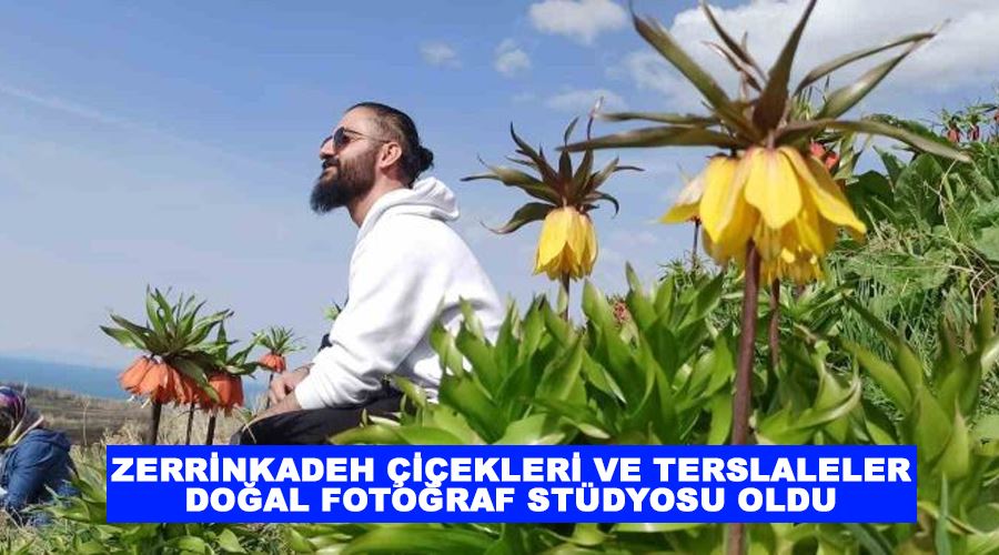 Zerrinkadeh çiçekleri ve terslaleler doğal fotoğraf stüdyosu oldu