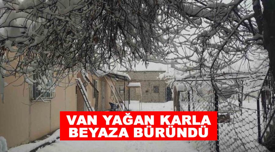 Van yağan karla beyaza büründü