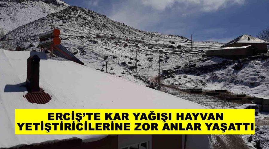 Erciş’te kar yağışı hayvan yetiştiricilerine zor anlar yaşattı