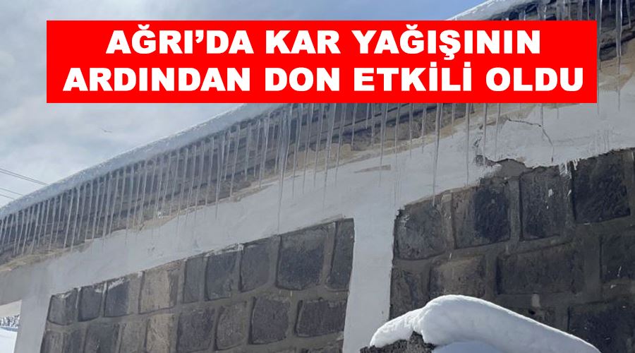 Ağrı’da kar yağışının ardından don etkili oldu