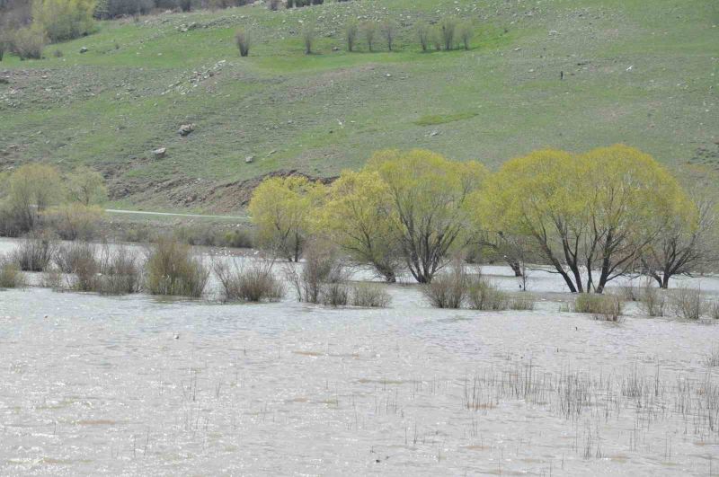 Kars’ta ağaçlar baraj suları altında kaldı
