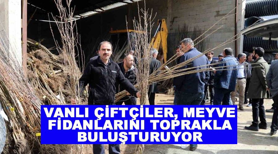 Vanlı çiftçiler, meyve fidanlarını toprakla buluşturuyor