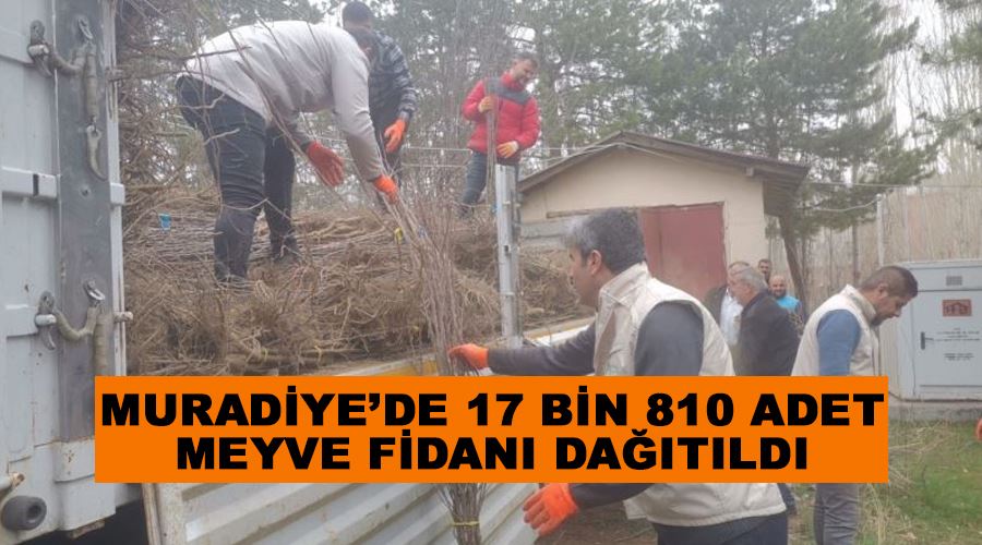 Muradiye’de 17 bin 810 adet meyve fidanı dağıtıldı