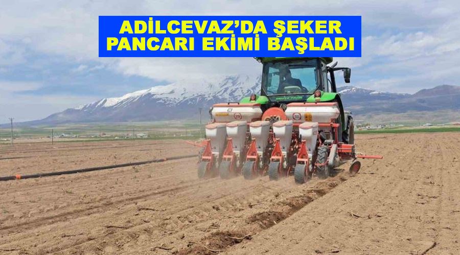 Adilcevaz’da şeker pancarı ekimi başladı