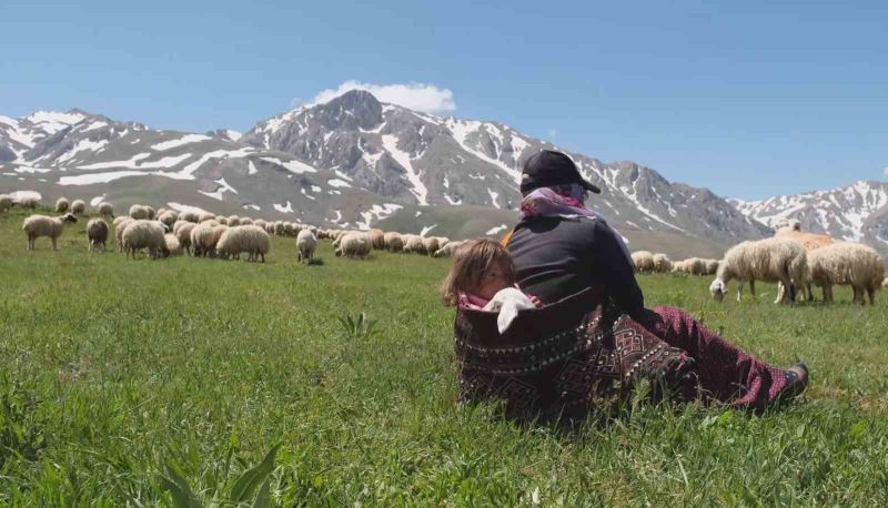 Erzincan’da meralar küçükbaş hayvanlarla şenlendi
