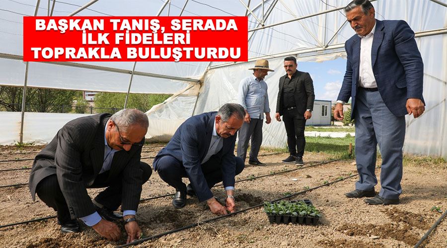 Başkan Tanış, serada ilk fideleri toprakla buluşturdu