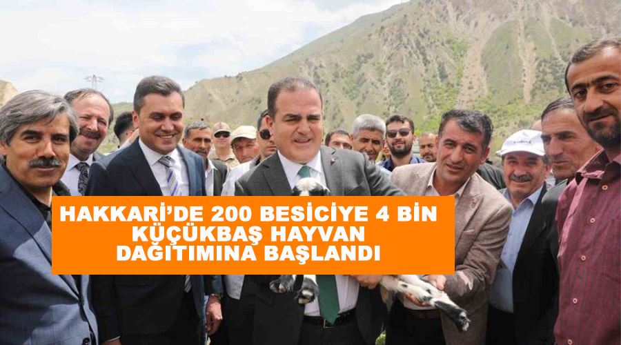 Hakkari’de 200 besiciye 4 bin küçükbaş hayvan dağıtımına başlandı