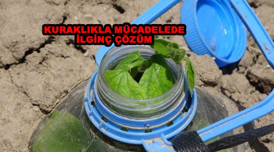 Kuraklıkla mücadelede ilginç çözüm