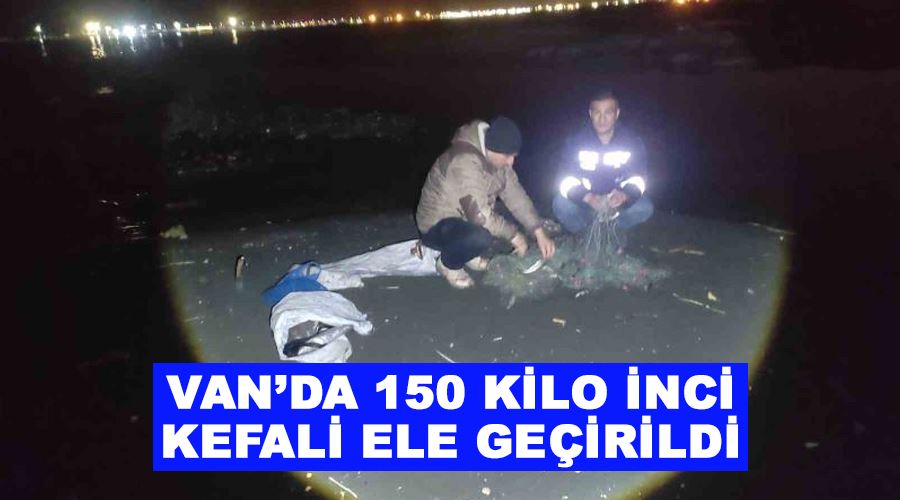 Van’da 150 kilo inci kefali ele geçirildi