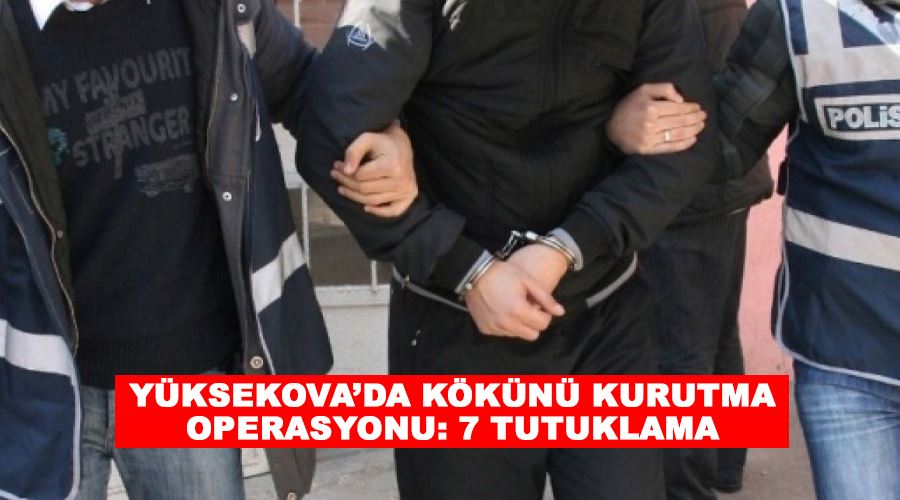 Yüksekova’da kökünü kurutma operasyonu: 7 tutuklama